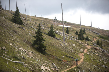 Hannah Birdsong biking the Monarch Crest section of the Colorado Trail