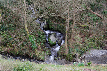 Babbling Brook