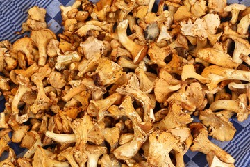 Chanterelles at a market