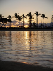 Hawaii sunset between palm trees with water reflection 