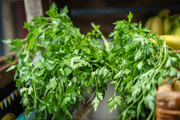 Fresh organic coriander on sale