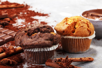 Chocolate muffin and nut muffin, homemade bakery on grey background
