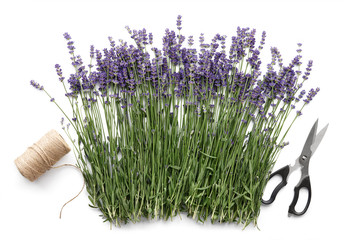 Fresh lavender flowers, scissors and rope spool isolated on white background, top view