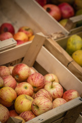 Red and yellow apples for sale