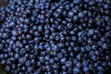 Fresh blueberry background. Texture blueberry berries close up