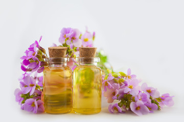 Plakat essential oil in beautiful jar on white background