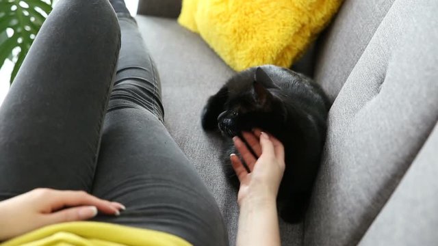 love for pets. beautiful dark-haired girl with a black cat is relaxing at home in the living room on the couch.
