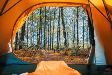Tent in the woods