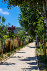 Fototapeta premium peacefull road 03