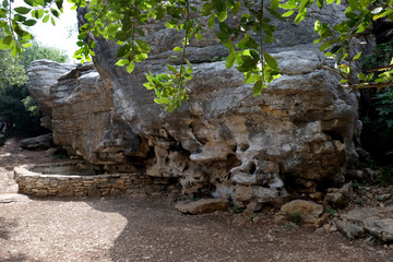 Rocks from calcareous rocks