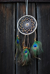 peacock feathers leather and beads dream catcher