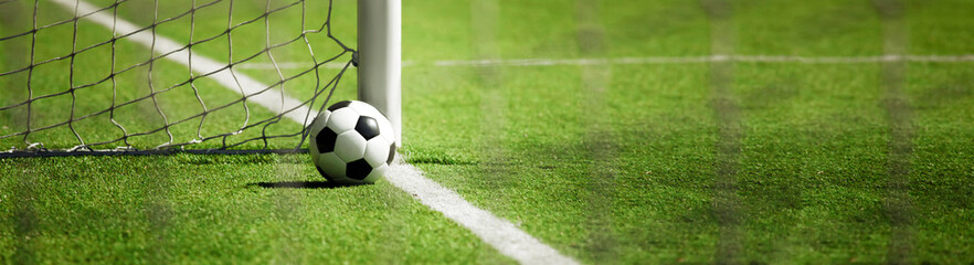 Ball im Netz © Thaut Images