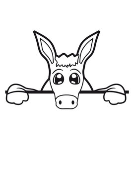 mauer wand halb text feld fl&auml;che schreiben klein baby s&uuml;&szlig; niedlich sitzen esel pferd pony klein packesel lange ohren bauernhof reiten reiter