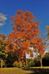 Fall in Minneapolis