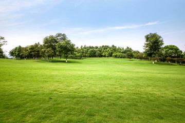 Green lawn in urban public park