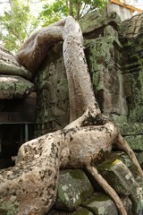 Obraz premium Temple Khmer d'Angkor