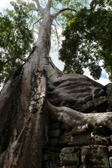 Temple Khmer d'Angkor