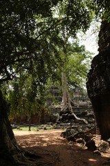 Fototapeta premium Temple Khmer d'Angkor