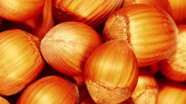 Pile of shelled hazelnuts spinning slowly and smoothly. Looped. Vertical format video.