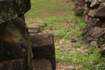 Temple Khmer d'Angkor