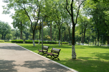 The road and the benches are in the park