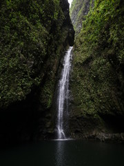 Fototapeta na wymiar sacred falls Oahu island Hawaii 