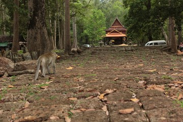 temple d'Angkor