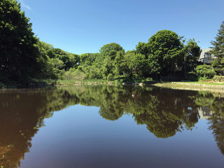 Reflecting Pond