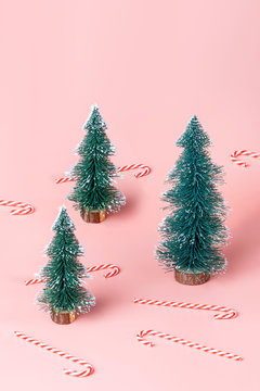 Tree Christmas tree with candy cane on pastel pink studio background.Holiday festive celebration greeting card with copy space.