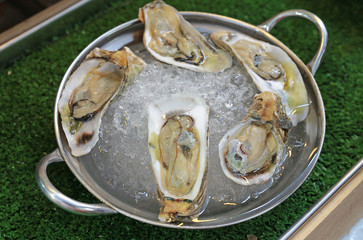 Fresh oysters served on ice.