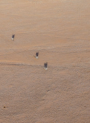 Fototapeta na wymiar Aerial landscape of dunes and surrounding Sossusvlei Namibia.