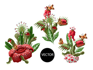 Plant predators such as Venus flycatcher, sundew and others. Unique flowers botanical illustration. © Yumeee