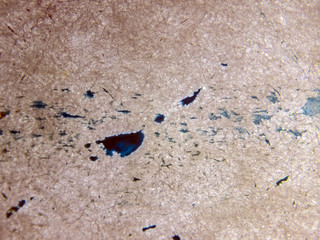 multi-colored paint on uneven surface