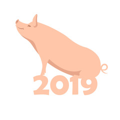 pig 2019 new year vector illustration flat 
