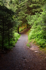 Near island path long