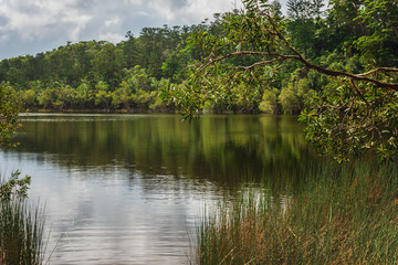 freshwater lake on Fraser island