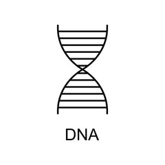 DNA line icon. Element of medicine icon with name for mobile concept and web apps. Thin line DNA icon can be used for web and mobile