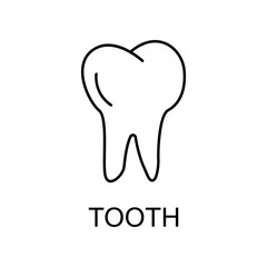 tooth line icon. Element of medicine icon with name for mobile concept and web apps. Thin line tooth icon can be used for web and mobile
