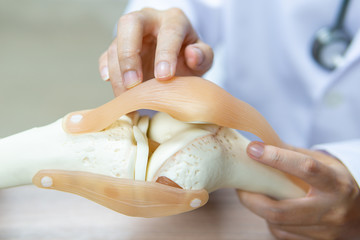 Closeup, Professional Doctor pointed on area of model knee joint. medical and orthopedic concept.
