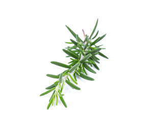 Naklejka premium Rozmaryn na białym tle na białym tle