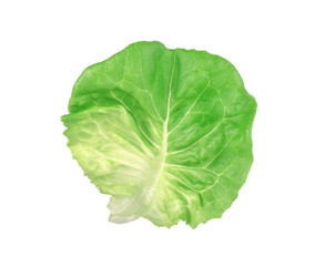 Obraz premium Salad leaf. Lettuce isolated on white background