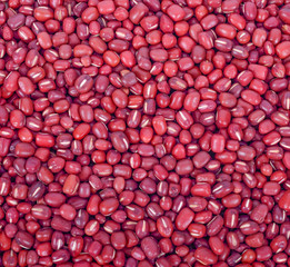 azuki beans , red beans on  background