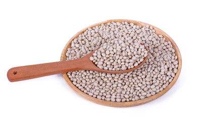 Navy Bean on white background