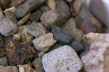Gold Ore Tailings