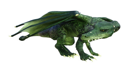 3D Rendering Fantasy Dragon on White