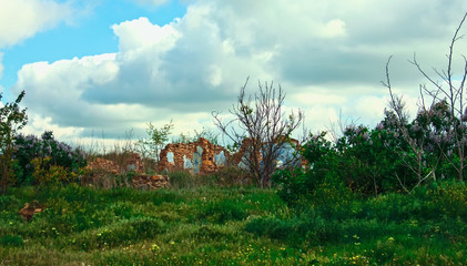 ruins of an old abandoned house in the summer landscape, color photo,