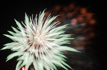 Bright bursts of fireworks