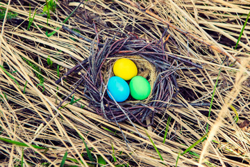 Decorative painted eggs in the nest. Easter eggs. Spring garden decoration.