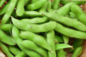 枝豆