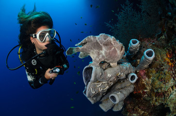 Frogfish and diver
